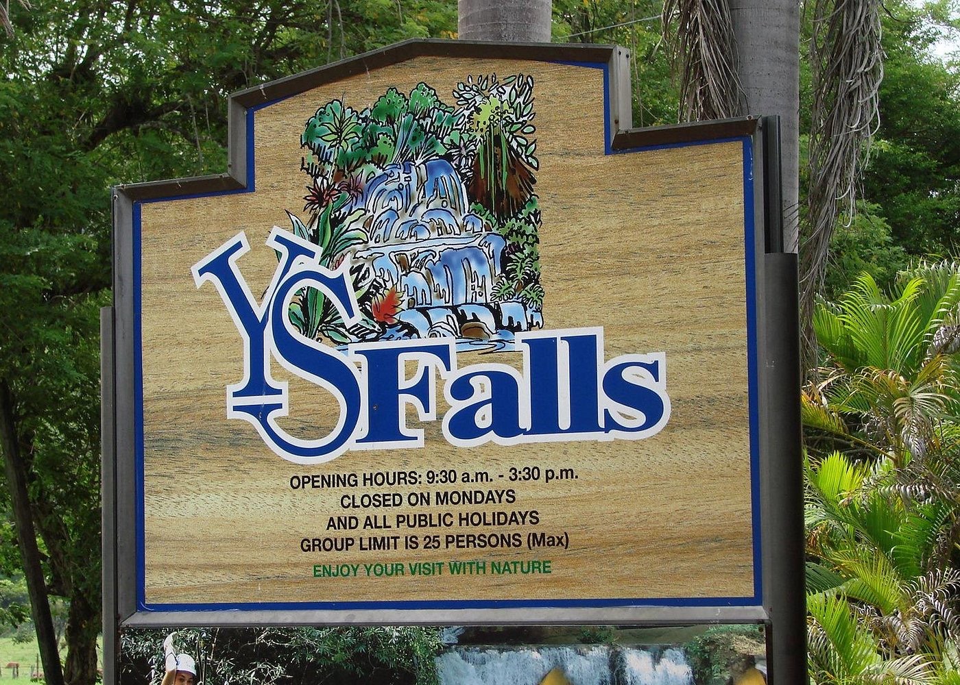 Black River Safari and YS Falls from Montego Bay - Image 5