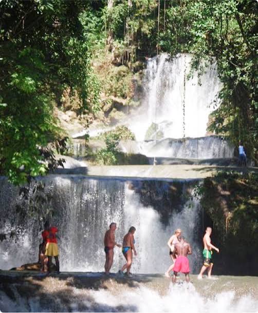 Black River Safari and YS Falls from Montego Bay - Image 7