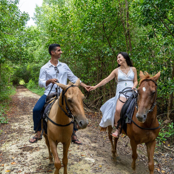 Horseback Riding Negril - Image 2