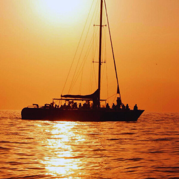 Sunset Cruise & Ricks Cafe - Image 4