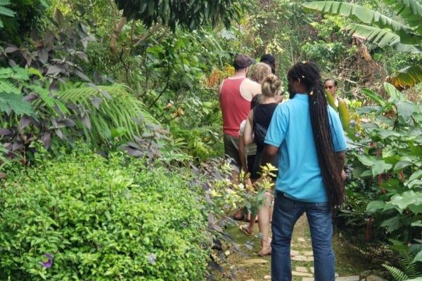 Rasnatango Gallery and Garden - Image 5