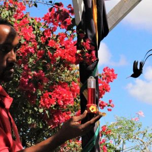 Rasnatango Gallery and Garden