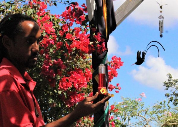 Rasnatango Gallery and Garden