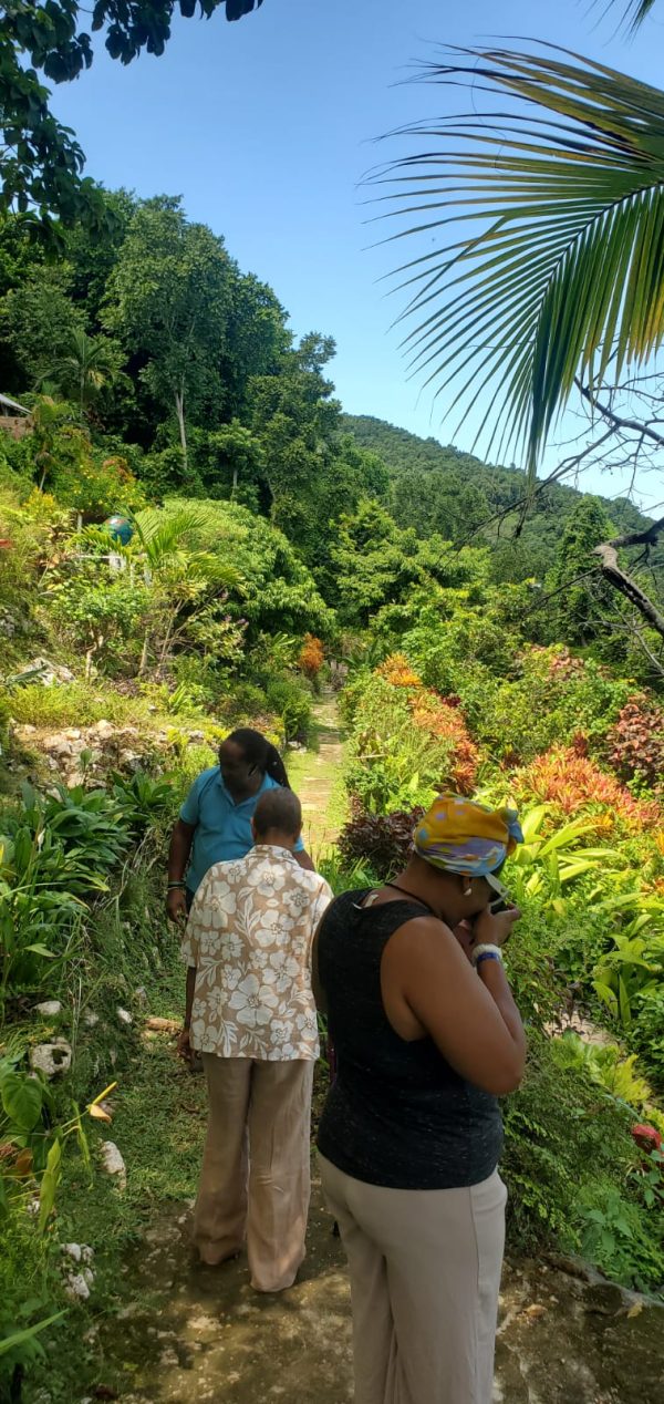 Ahhh Rasnatango Gallery and Garden - Image 3