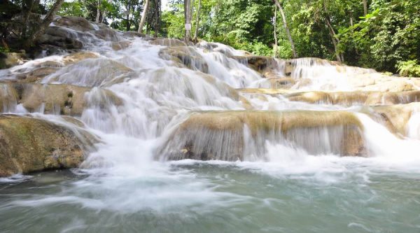 Bob Marley Nine Mile and Dunn's River Falls Adventure - Image 4