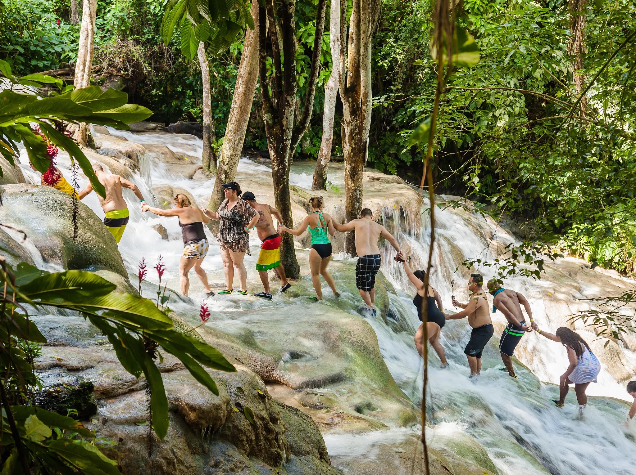Dunn's River Falls and Catamaran Party Cruise from Montego Bay - Image 4