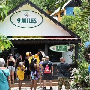 Bob Marley Nine Mile and Dunn's River Falls Adventure from Ocho Rios