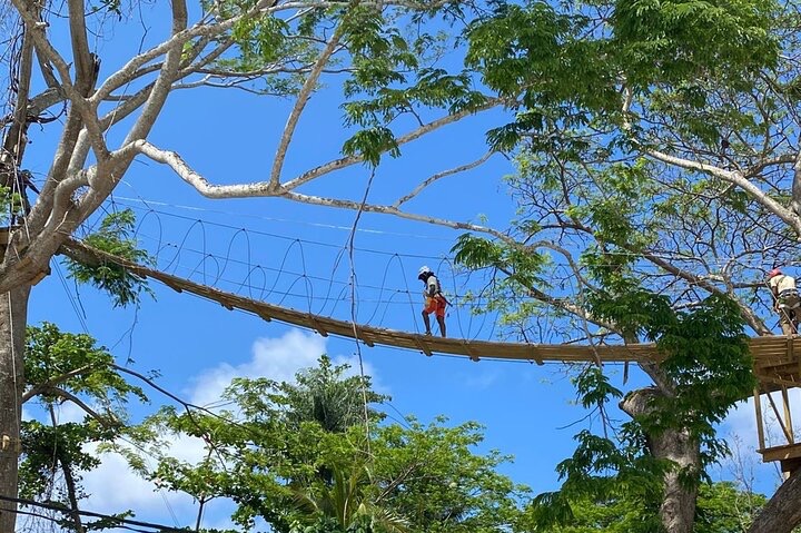 Panoramic Ocho Rios Highlight Zipline and River Swim Experience - Image 3