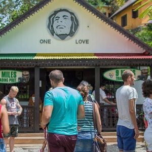Bob Marley Nine Mile and Dunn's River Falls Adventure from Montego Bay
