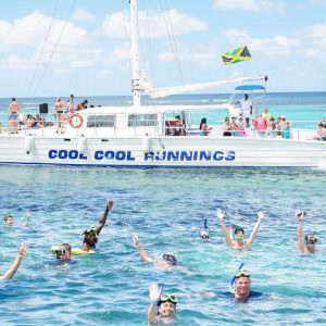 Dunn's River Falls and Catamaran Party Cruise from Montego Bay