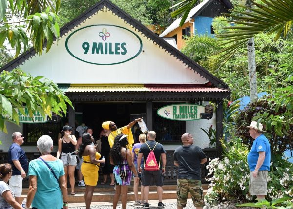 Bob Marley Nine Mile and Dunn's River Falls Adventure - Image 2