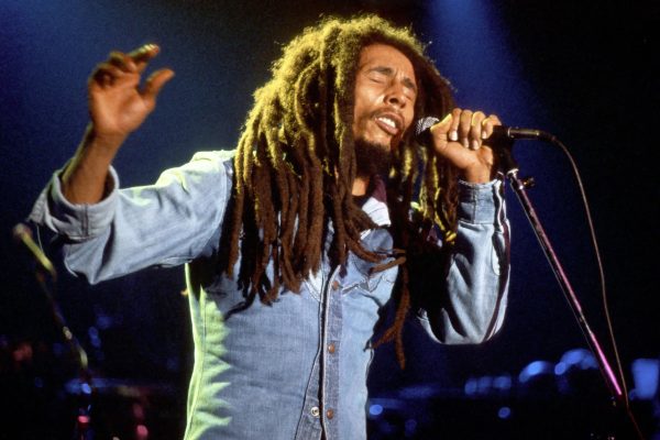 Bob Marley Nine Mile and Dunn's River Falls Adventure