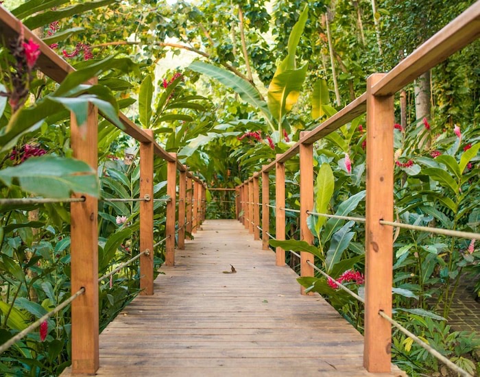 Panoramic Ocho Rios Heritage, Horseback Riding and Swim Experience