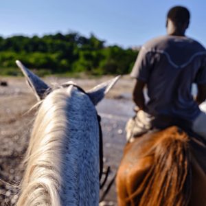 Combo or Triple tour: Horseback riding, Zipline, Atv and Rafting from Ocho Rios