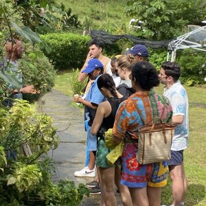 Botanical and Herbal Garden Tour with Lunch