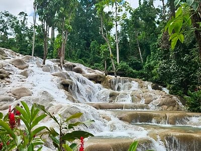Dunn's River Falls and Ocho Rios Highlights - Image 3